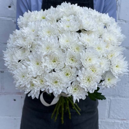 Белая кустовая хризантема - купить с доставкой в по Шадринску