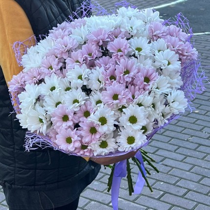 букет из розовой кустовой хризантемы - купить с доставкой в по Шадринску