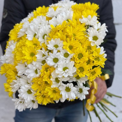 Букет из разноцветных хризантем - купить с доставкой в по Шадринску