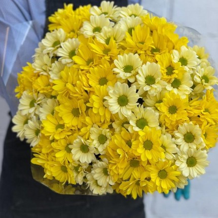желтая кустовая хризантема - купить с доставкой в по Шадринску